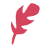 feather